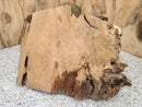 Live Edge Red Oak Burl Wood Slab (