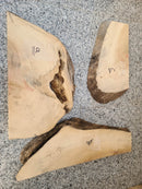 Live Edge Box Elder Wood Slab - lot (