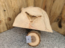 Live Edge Box Elder Wood Slab - lot (