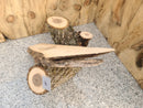 Live Edge Box Elder Wood Slab - lot (