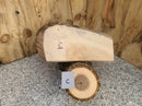 Live Edge Box Elder Wood Slab - lot (