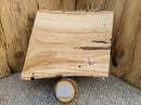 Live Edge Paper Birch Wood Slab - w/curl (