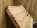 Live Edge Paper Birch Wood Slab - w/curl (