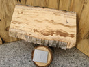 Live Edge Paper Birch Wood Slab - w/curl (