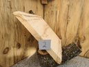 Live Edge Paper Birch Wood Slab - w/curl (