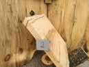 Live Edge Paper Birch Wood Slab - w/curl (