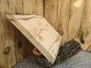 Live Edge Paper Birch Wood Slab - w/curl (