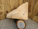 Live Edge Boxelder - w/curl/spalting/red flame (