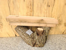 Live Edge Norway Maple Wood Slab - w/curl (