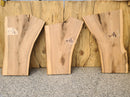 Live Edge Mountain Ash Wood Slab (