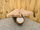 Live Edge Mountain Ash Wood Slab (