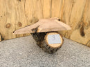 Live Edge Mountain Ash Wood Slab (