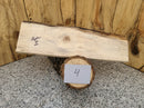 Live Edge Poplar Wood Slab - Spalted (