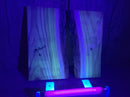 Live Edge Mulberry Wood Slab - lot (