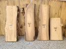 Live Edge Siberian Elm Wood Slab (