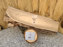 Live Edge Siberian Elm Wood Slab (