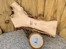 Live Edge Siberian Elm Wood Slab (