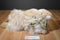 Yang Jee Cashmere Angora Long Haired Fluffy Beige Bunny Rabbit Plush