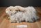 Yang Jee Cashmere Angora Long Haired Fluffy Beige Bunny Rabbit Plush