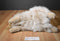 Yang Jee Cashmere Angora Long Haired Fluffy Beige Bunny Rabbit Plush