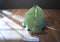 Animal Adventures Little Luxuries Green Dino 2020 Plush and Cape