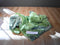 Animal Adventures Little Luxuries Green Dino 2020 Plush and Cape