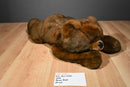 MJC Purr-Fection Brown Bear 1988 Plush