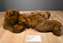 MJC Purr-Fection Brown Bear 1988 Plush