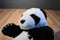 National Geographic Panda 2002 Plush