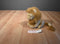 Pier 1 Imports Tan and Brown Lion Plush