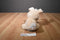 Aurora Precious Moments Tan Bunny Rabbit 2016 Beanbag Plush