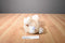 Aurora Precious Moments Tan Bunny Rabbit 2016 Beanbag Plush