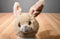 Aurora Precious Moments Tan Bunny Rabbit 2016 Beanbag Plush