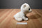 Ty Classic Arctic Polar Bear 2016 Beanbag Plush