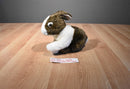 Ganz Webkinz Signature Brown and White Dutch Bunny Rabbit Beanbag Plush No Code