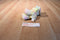 Enesco Precious Moments Tender Tails Sherbert Bear 1999 Beanbag Plush