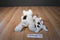 Ty Buddy 2002 and Baby 1998 Butch Bull Terrier Beanbag Plush