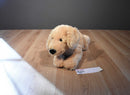 Eddie Bauer Golden Retriever Dog Beanbag Plush