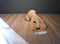 Eddie Bauer Golden Retriever Dog Beanbag Plush