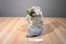 FAO Schwarz Koala Beanbag Plush