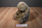 Fiesta Sitting Brown Bear Plush
