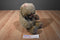 Fiesta Sitting Brown Bear Plush