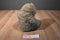 Fiesta Sitting Brown Bear Plush