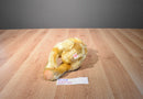 Ty Classic Jeeves the Gold Bear 2000 Beanbag Plush