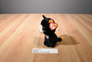 Ty Beanie Boos Frights Black White Orange Cat 2015 Beanbag Plush
