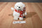 Ganz Winter Cub White Bear in Red White Scarf Beanbag Plush