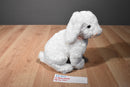 Ty Beanie Buddies Spring White Bunny Rabbit 2002 Beanbag Plush