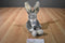 Russ Sundance the Grey and White Bunny Rabbit Beanbag Plush