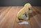 Toys R Us Yellow Labrador Puppy Dog 2012 Beanbag Plush