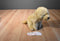 Toys R Us Yellow Labrador Puppy Dog 2012 Beanbag Plush